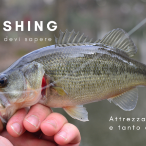 Bass Fishing
