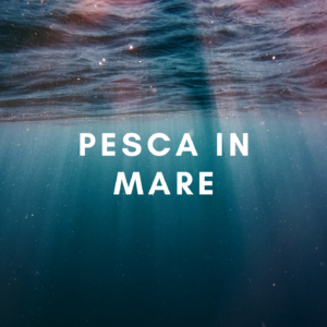 Mare