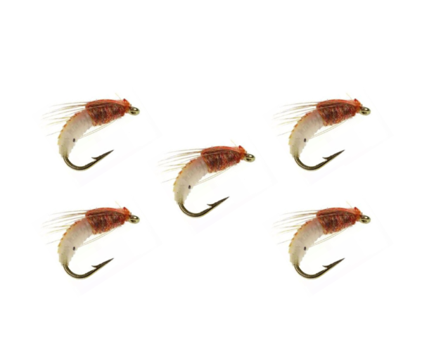 Fly Bug Ninfa 5Pz/lotto
