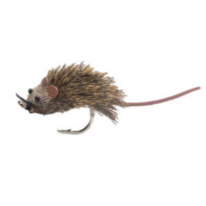 Fly Rat Ninfa